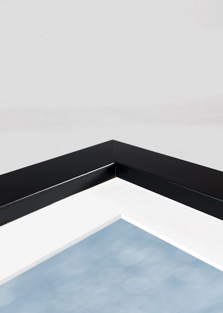 Søpapegøjer i Skotland