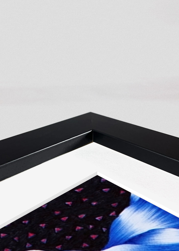 Ibis mit Haustier in Wüste