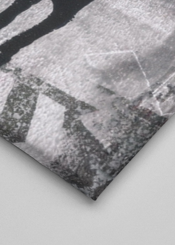 Jelen pod hvězdnou oblohou