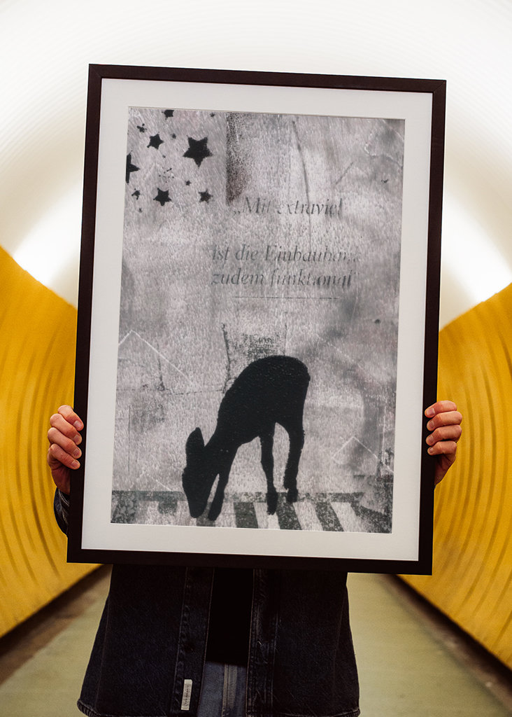 Jelen pod hvězdnou oblohou