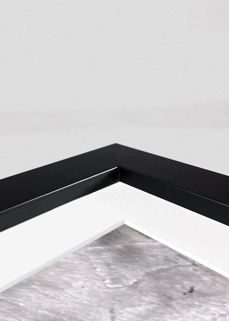 Jelen pod hvězdnou oblohou