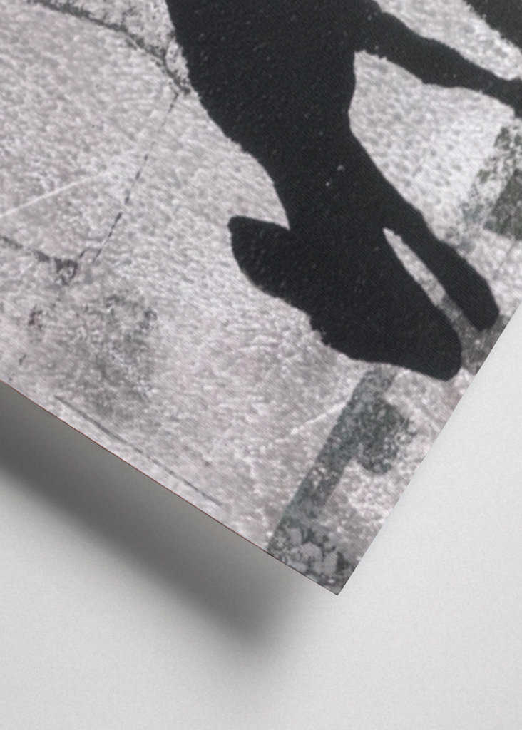 Jelen pod hvězdnou oblohou