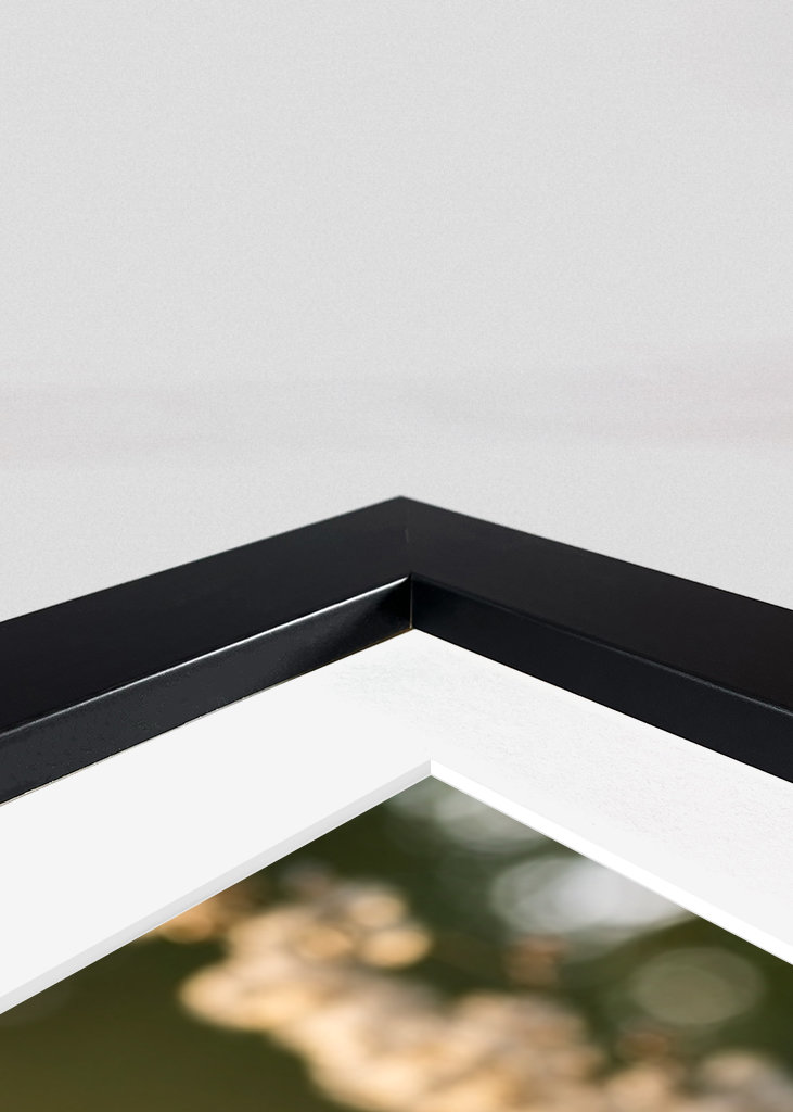 Uschlé květy ve večerním světle