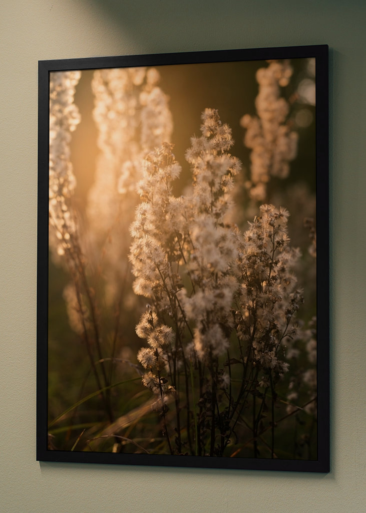 Uschlé květy ve večerním světle