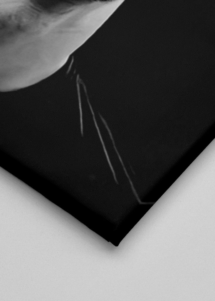 Zitate von Zlatan Ibrahimovic 