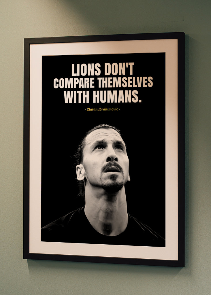 Zitate von Zlatan Ibrahimovic 