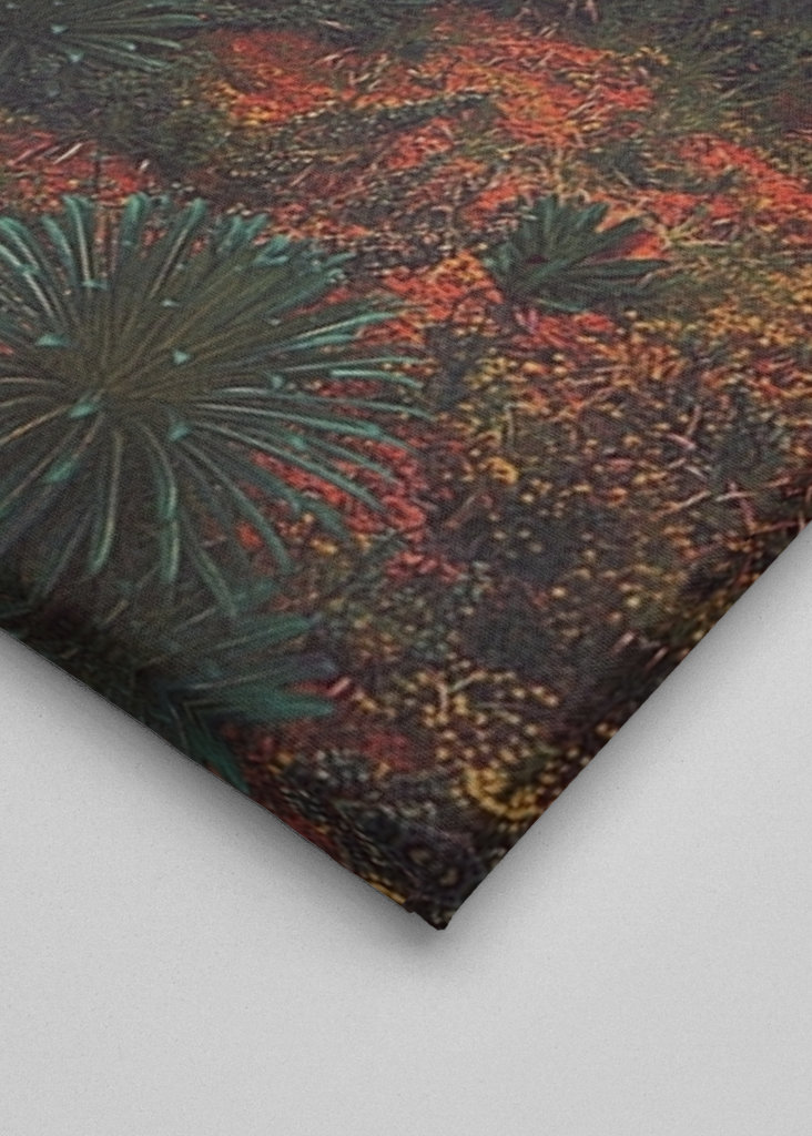 20 segundos antes da chuva