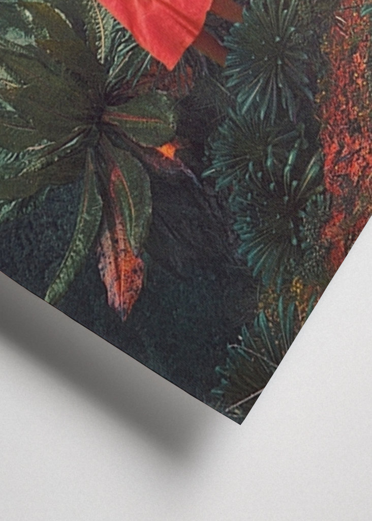 20 segundos antes da chuva