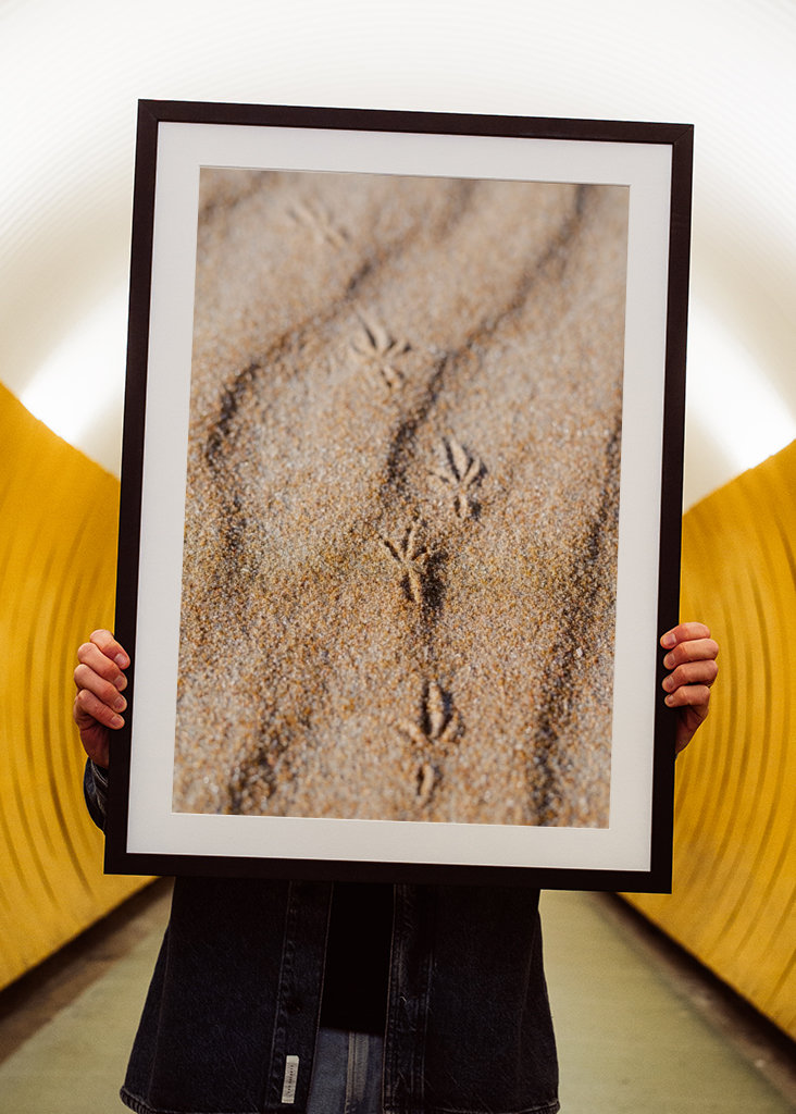 Empreinte d’oiseau dans le sable