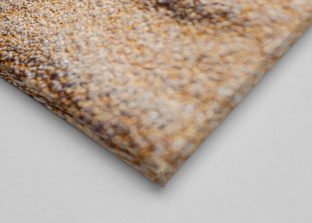 Fußabdruck eines Vogels im Sand