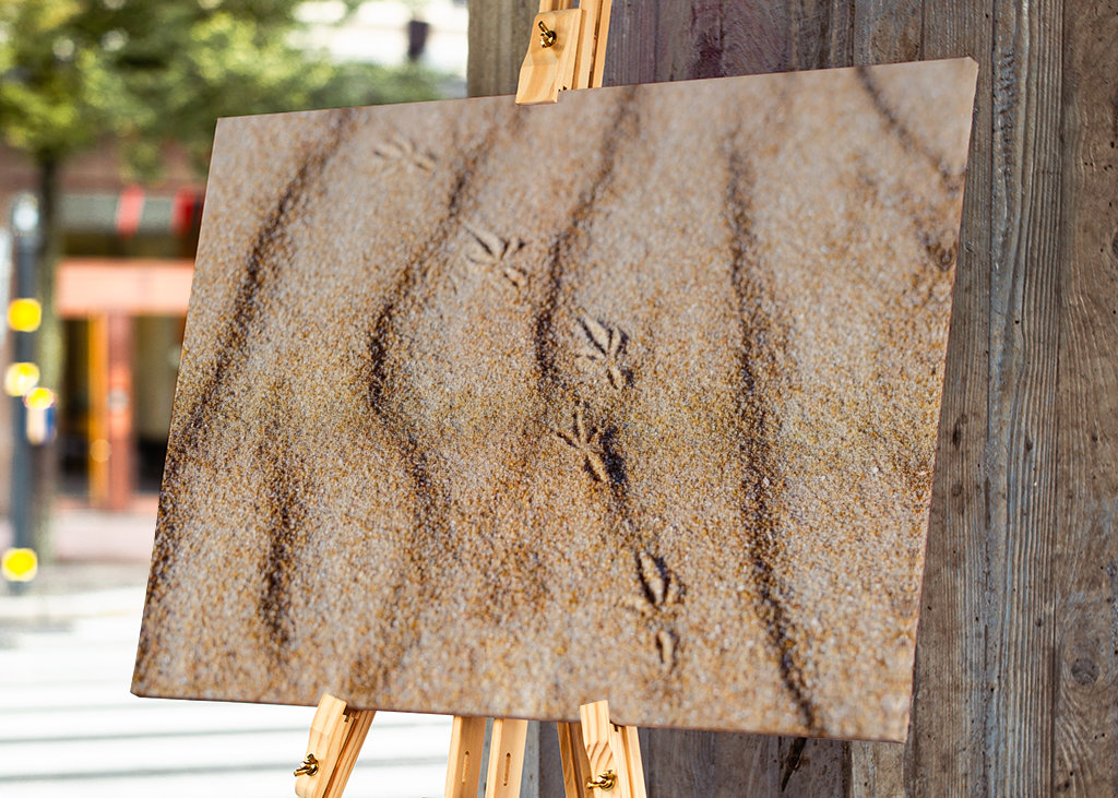 Fußabdruck eines Vogels im Sand
