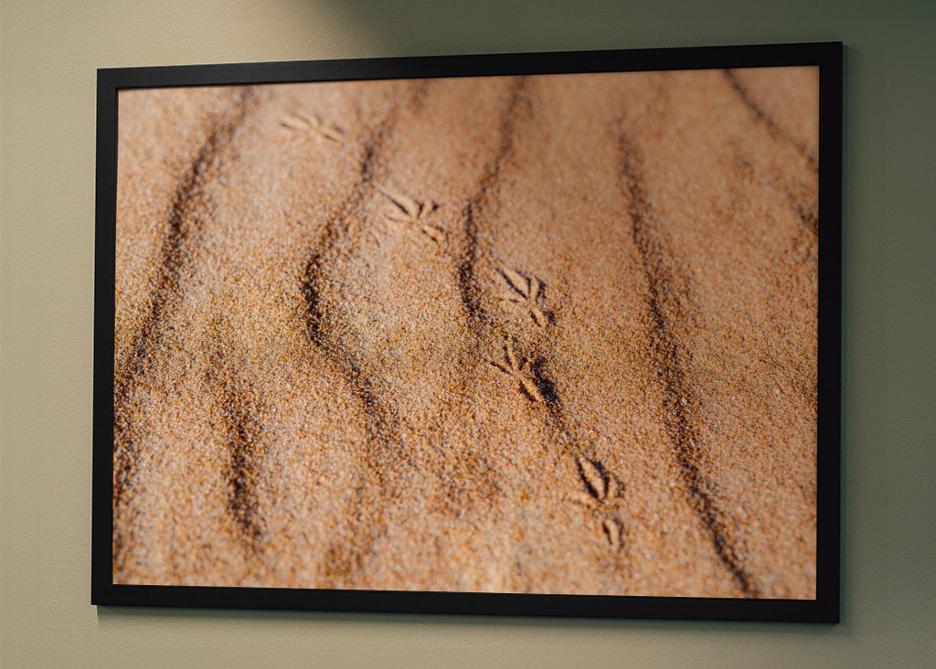 Fußabdruck eines Vogels im Sand