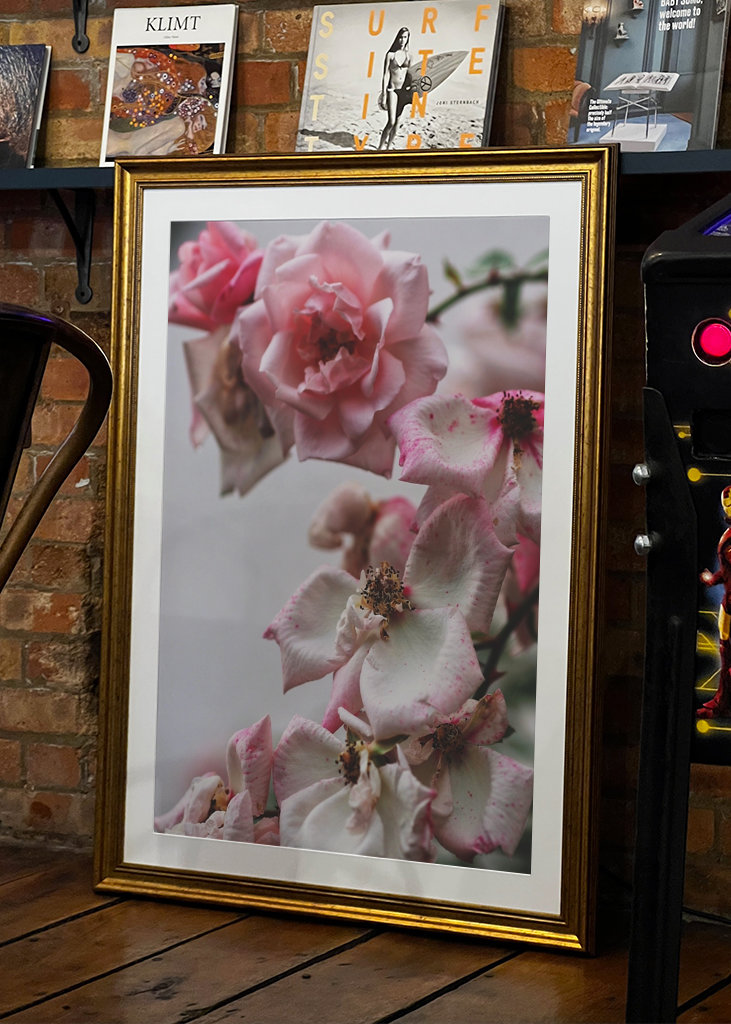 A Rose is a Rose is a...