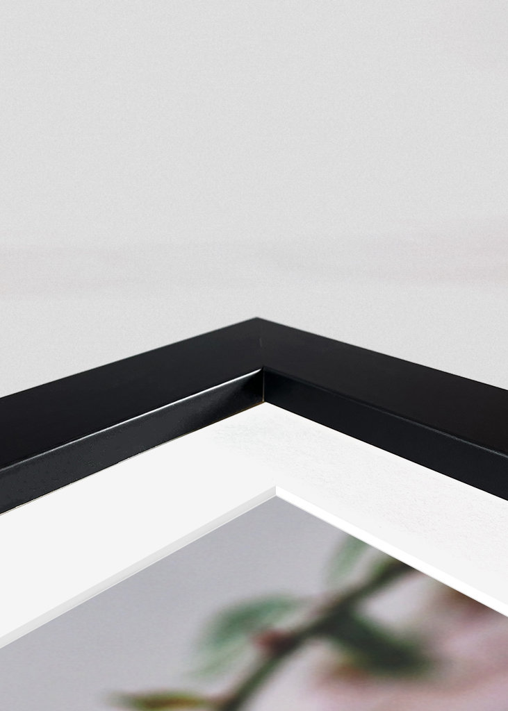 A Rose is a Rose is a...