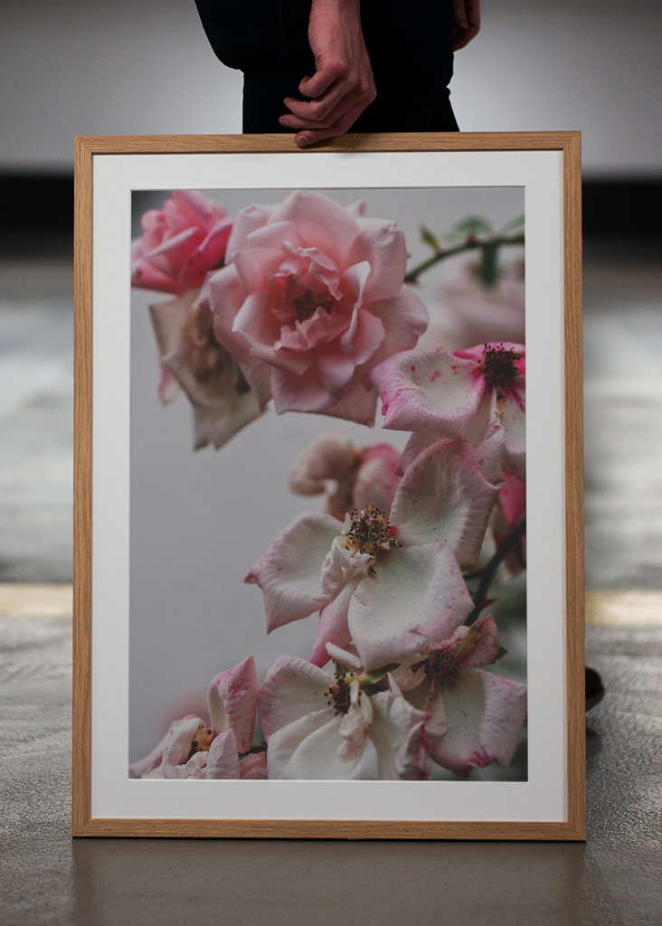 A Rose is a Rose is a...