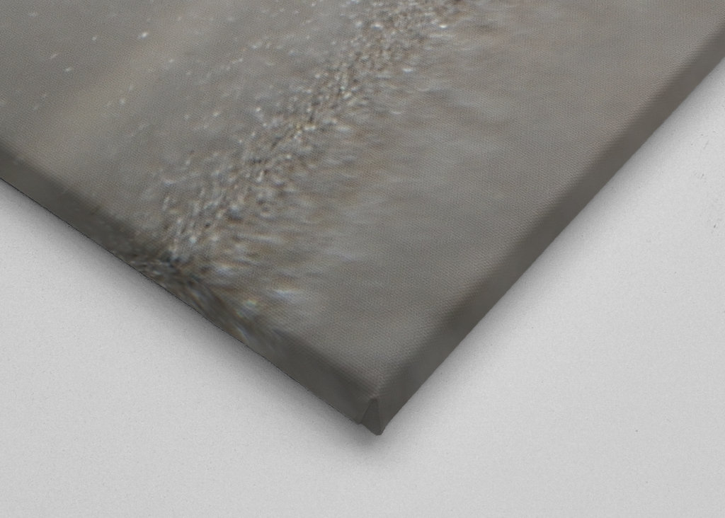 Strand | Muscheln im Sand 