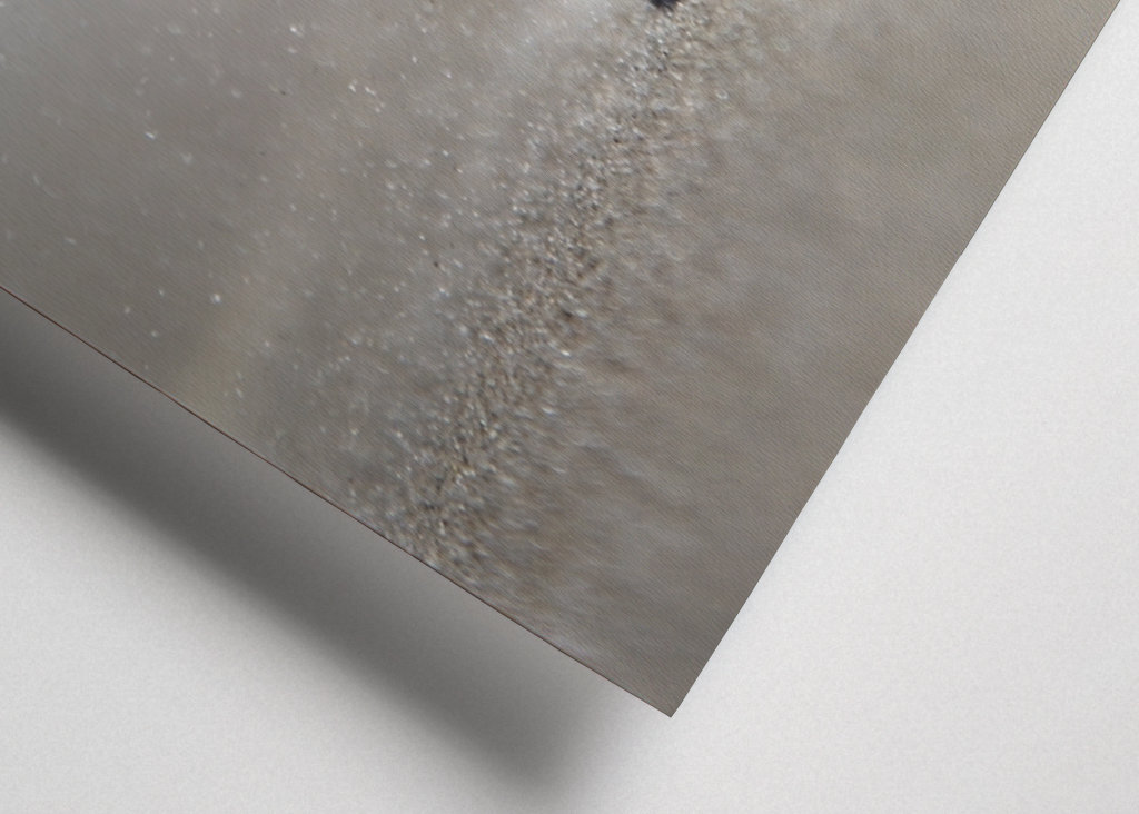 Strand | Muscheln im Sand 