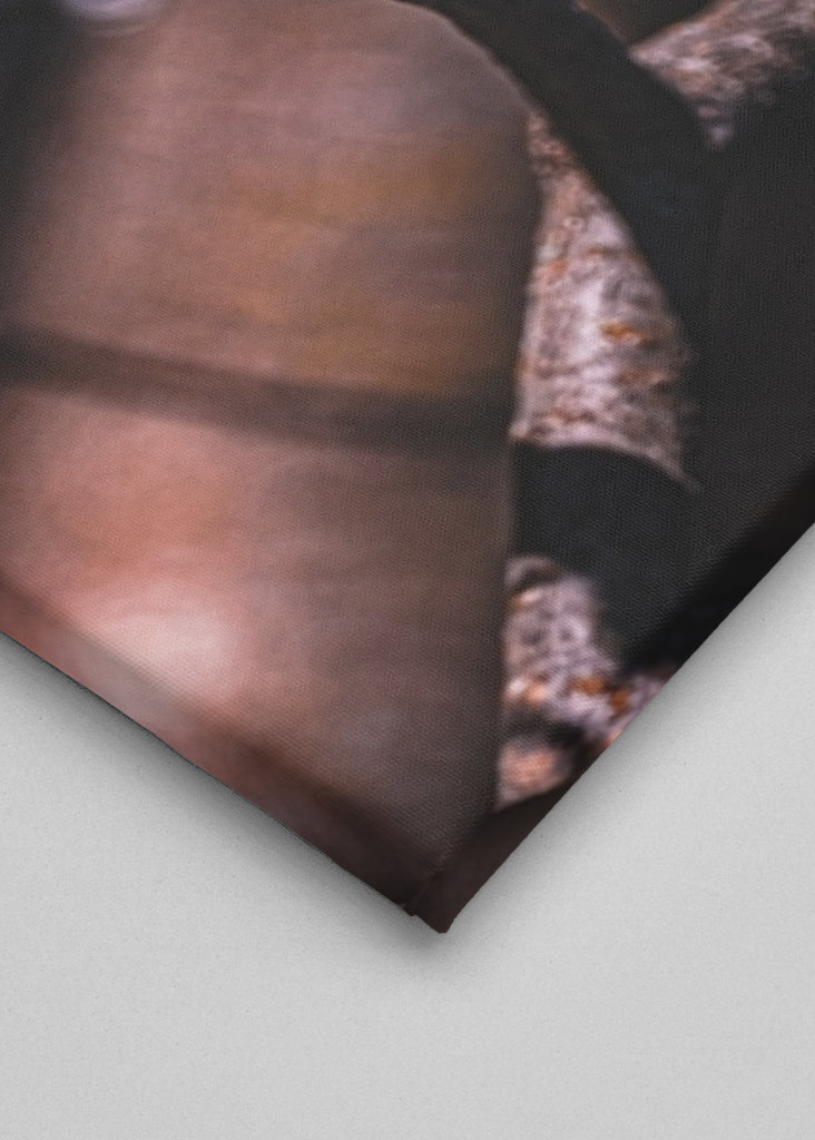 Modrá sýkorka na slnku