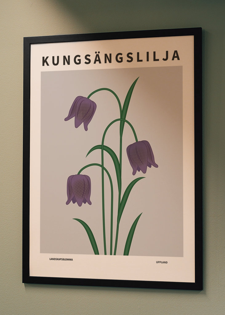Kungsängslilja, Uppland