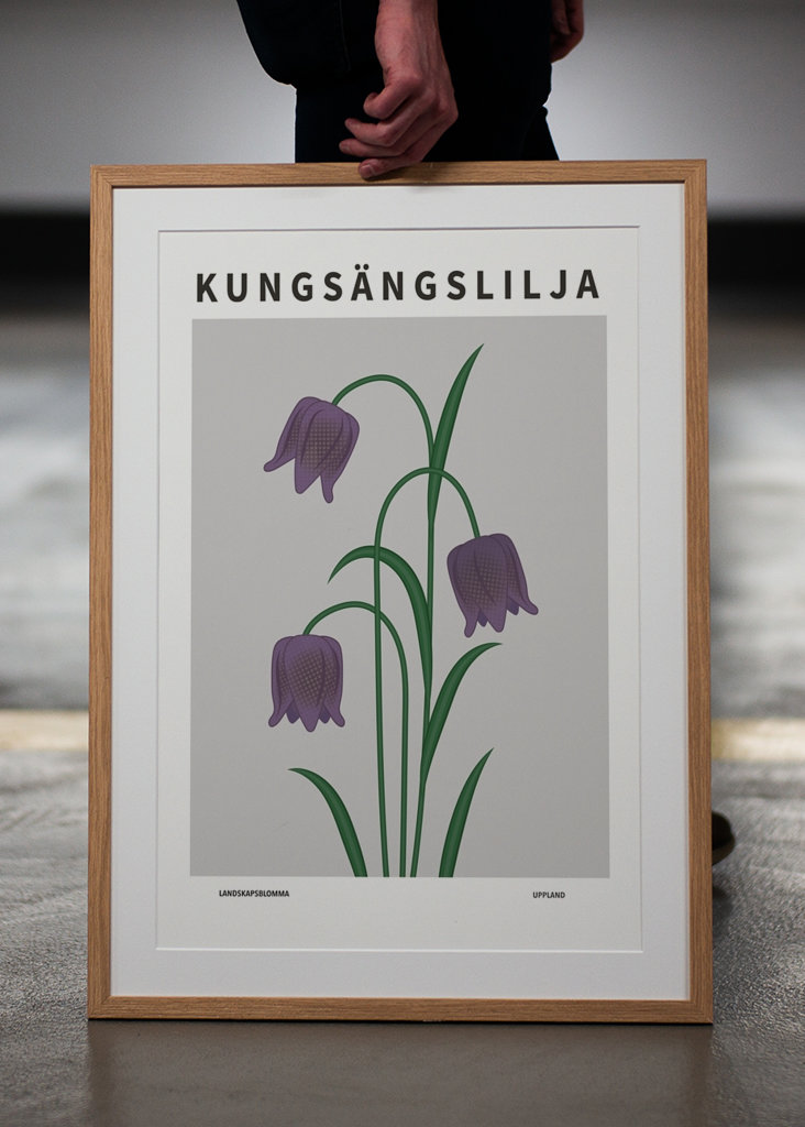 Kungsängslilja, Uppland