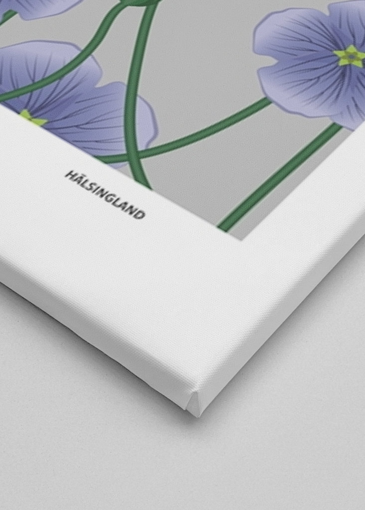 Lino, flor de Hälsingland