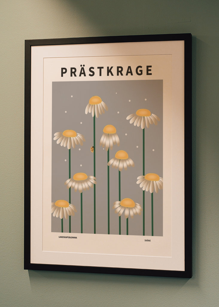 Prästkrage, skåne