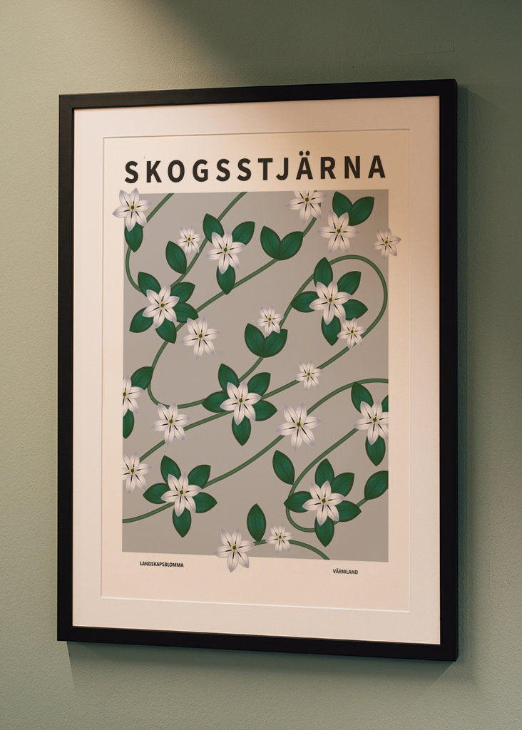 Skogsstjärna, Värmland