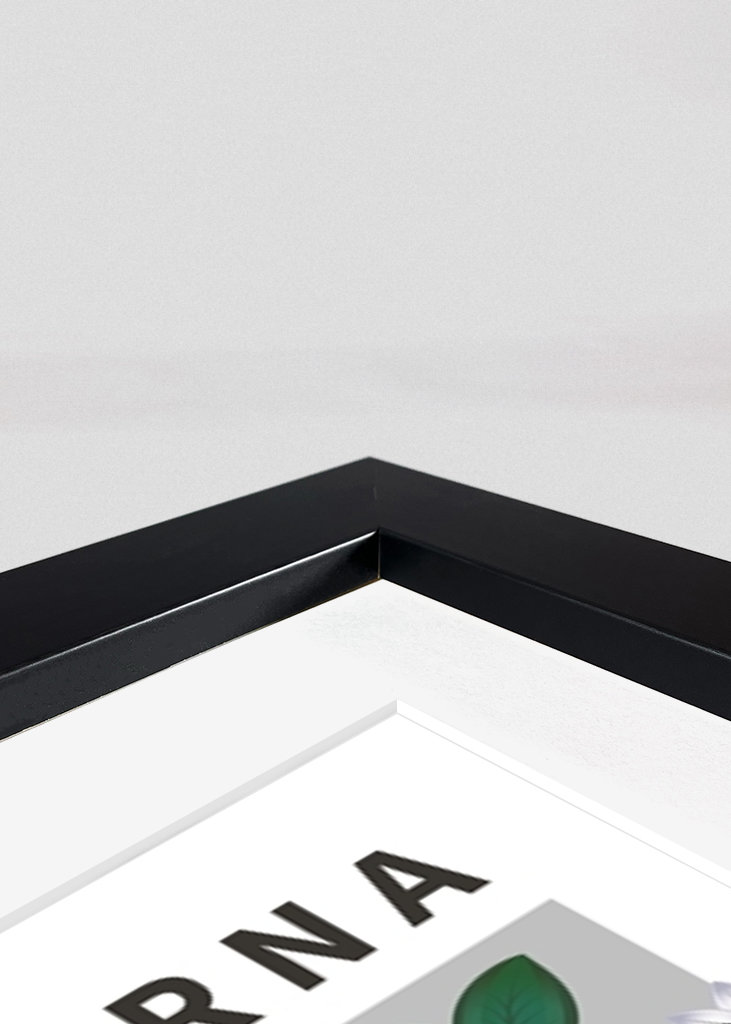 Skogsstjärna, Värmland