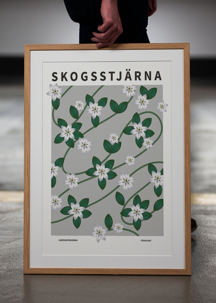 Skogsstjärna, Värmland