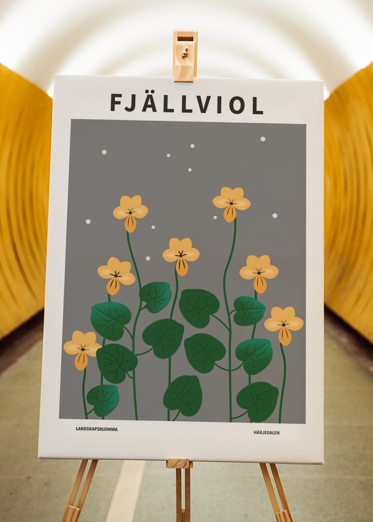 Fjällviol, Härjedalen