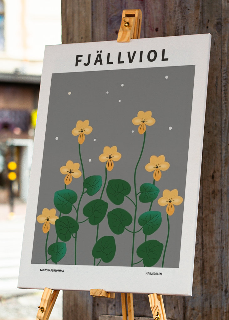 Fjällviol, Härjedalen