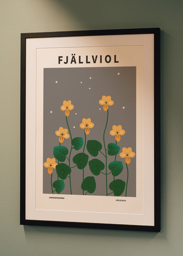 Fjällviol, Härjedalen