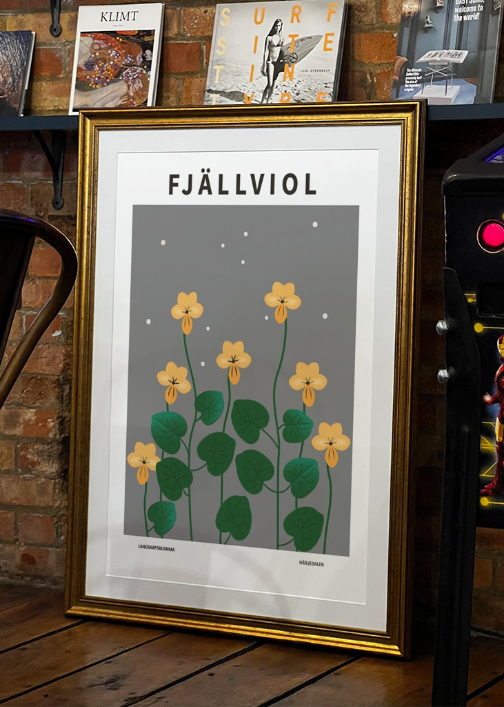 Fjällviol, Härjedalen