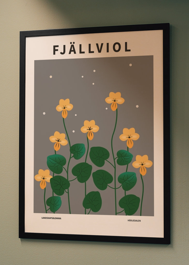 Fjällviol, Härjedalen