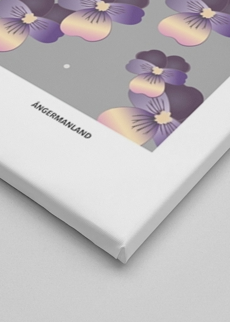 Veilchen der Stiefmutter, Ångermanland