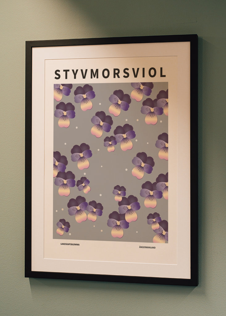 Veilchen der Stiefmutter, Ångermanland