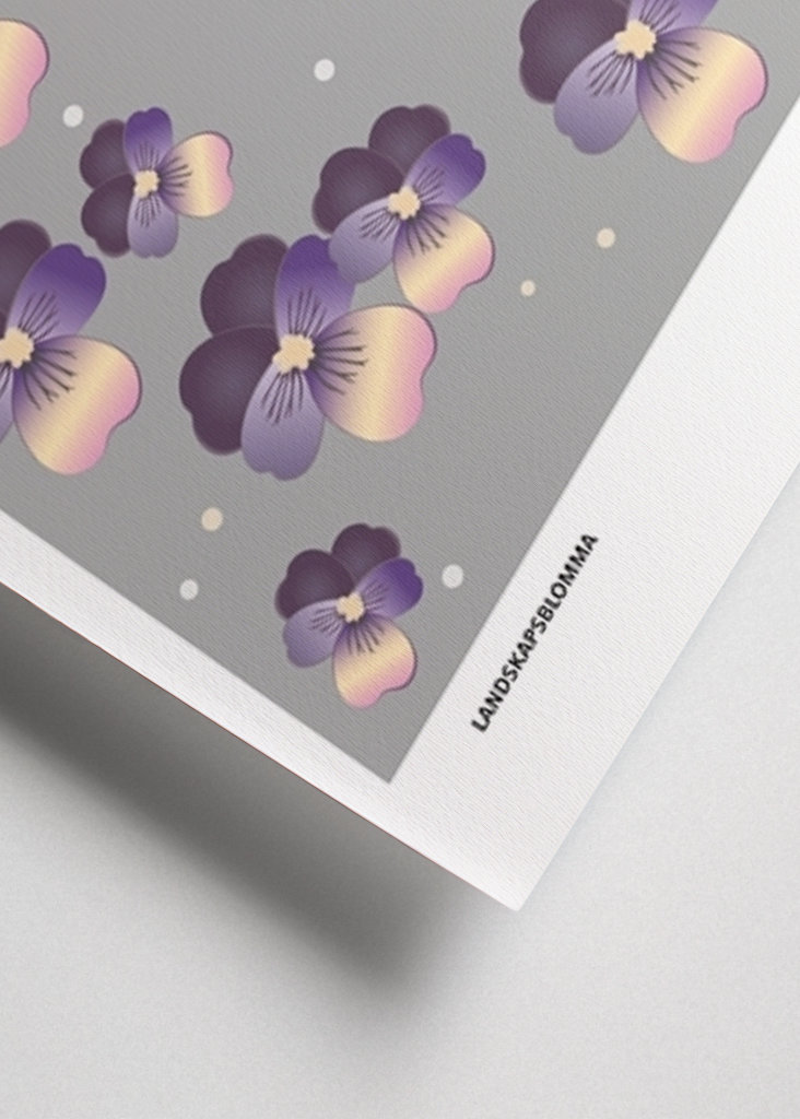 Veilchen der Stiefmutter, Ångermanland