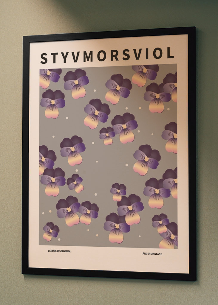 Veilchen der Stiefmutter, Ångermanland