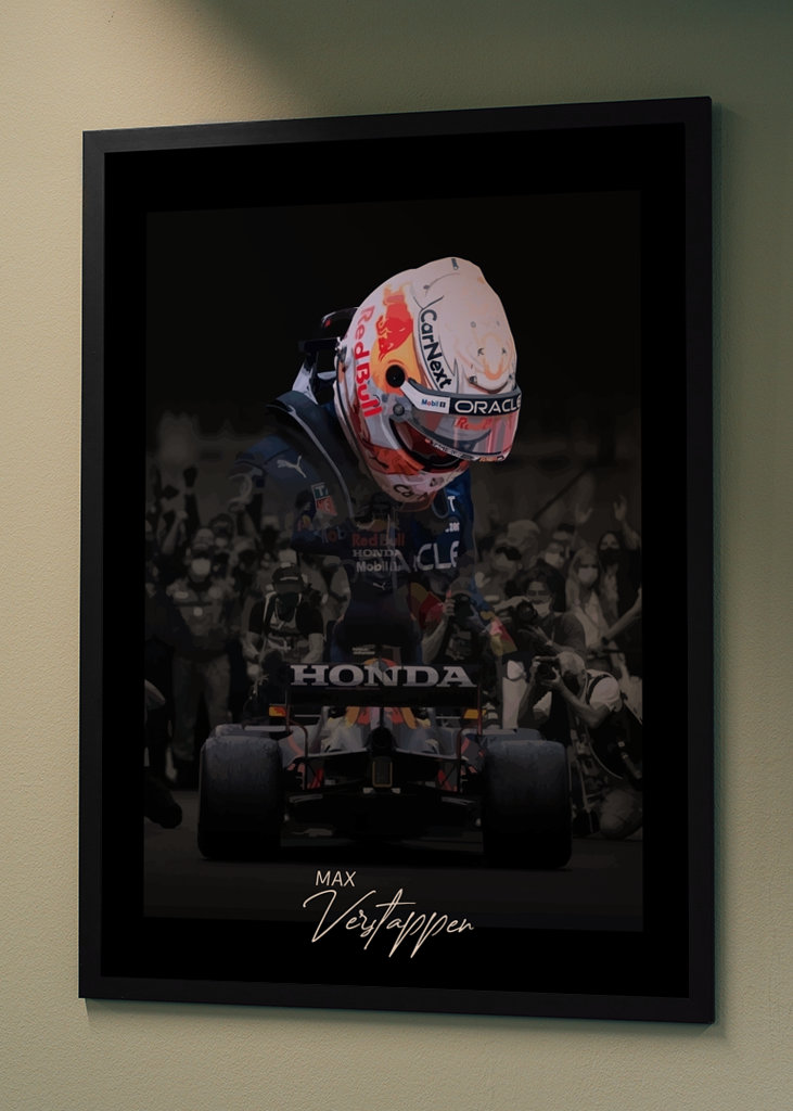 Max Verstappen F1