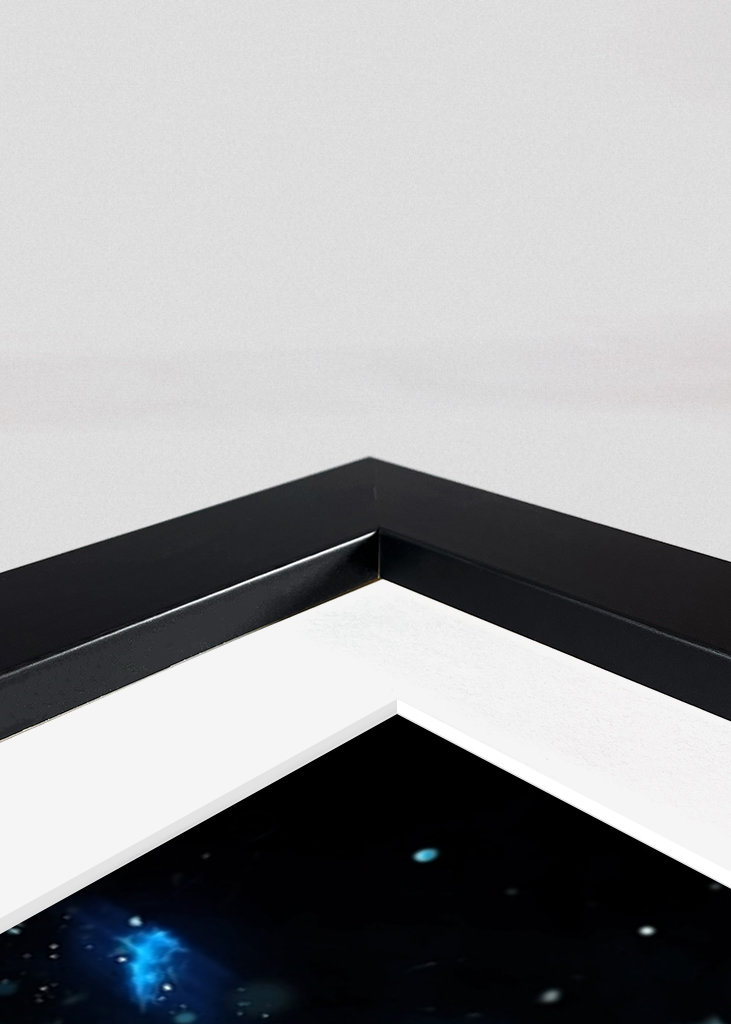 Vegeta Super Saiyan Blue 