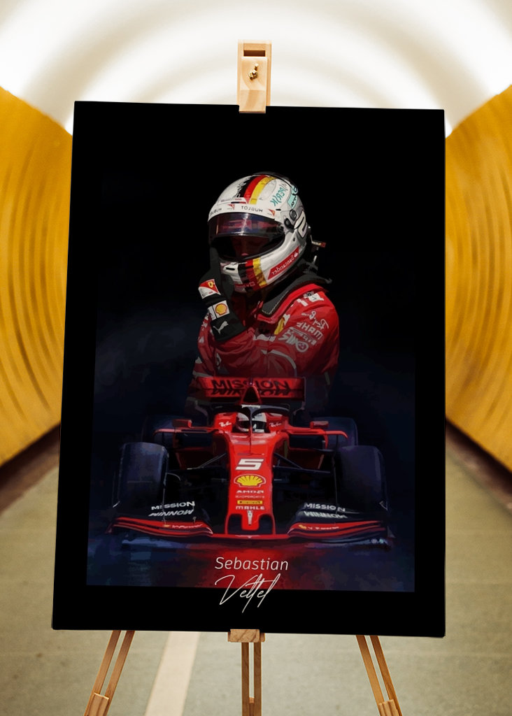 Sebastian Vettel F1