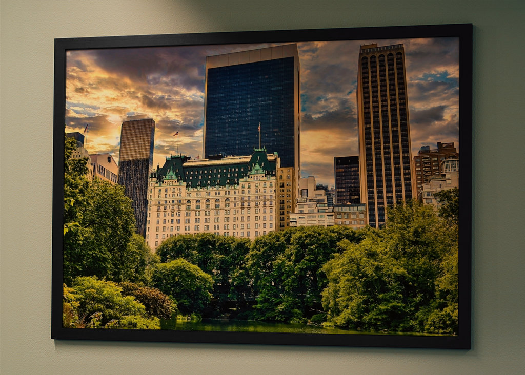 New York Plaza Hotel II