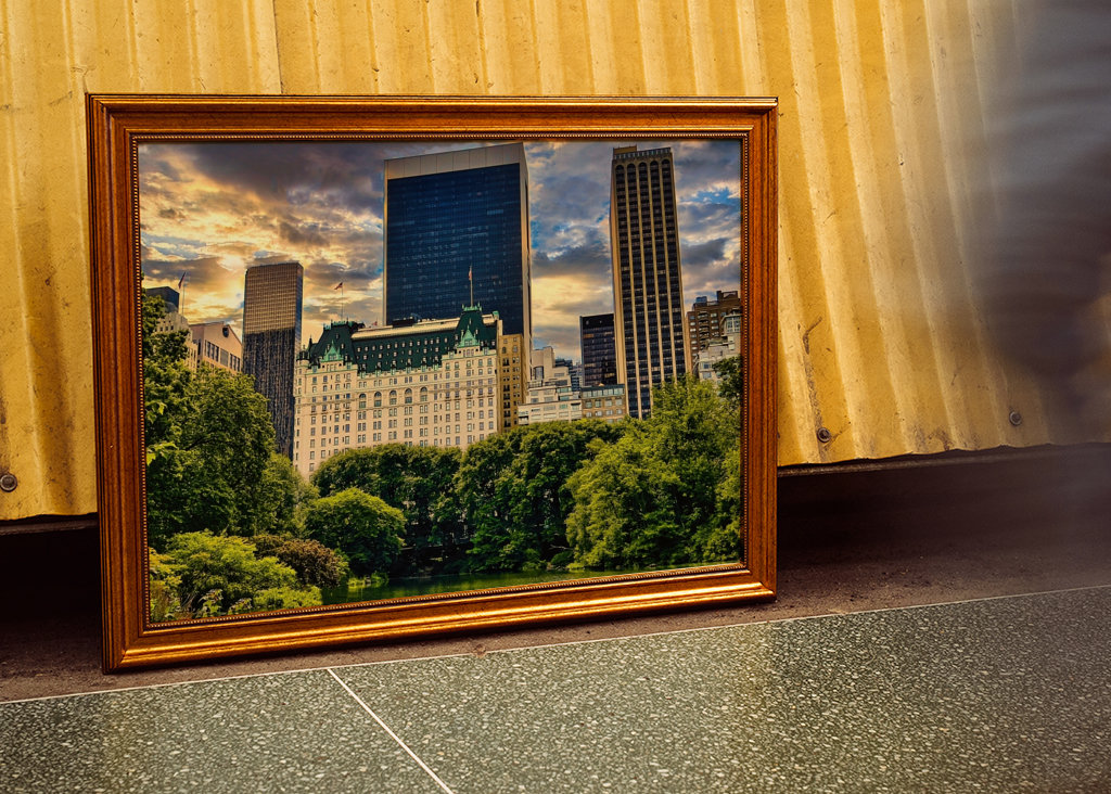 New York Plaza Hotel II