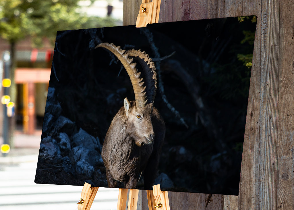 Capricorno in montagna