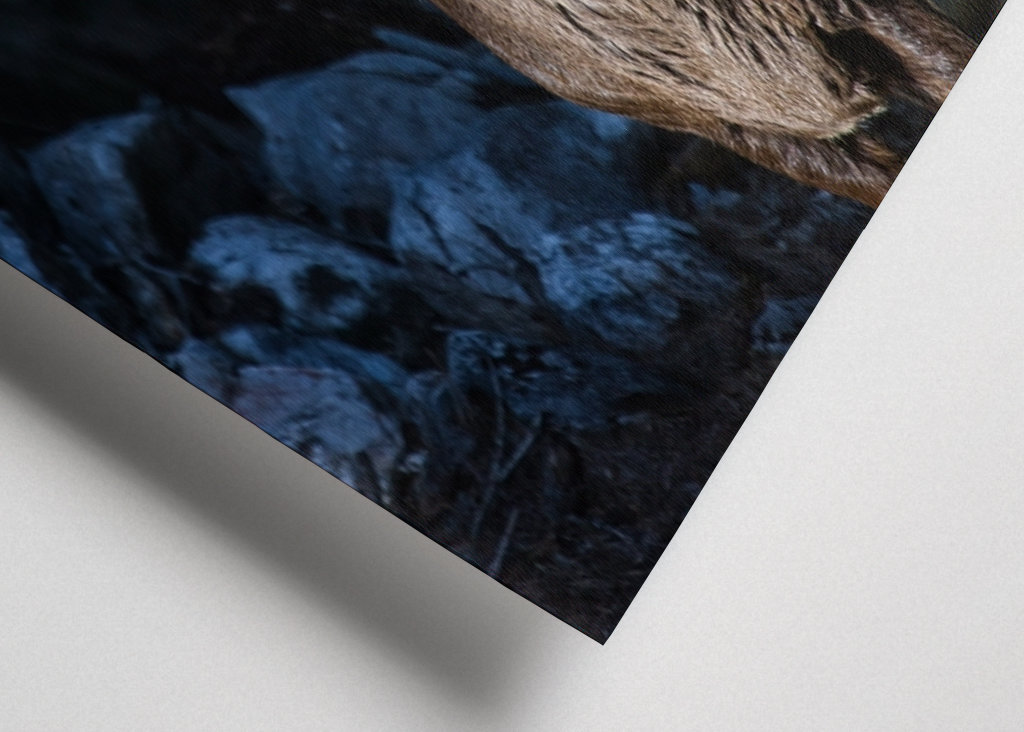 Capricorno in montagna