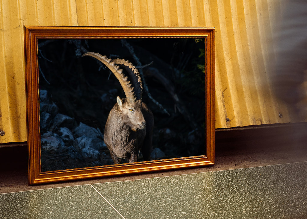 Capricorno in montagna