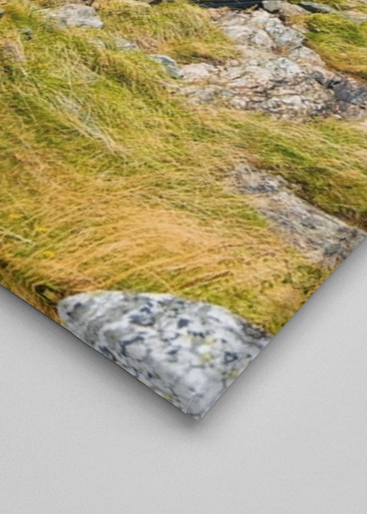 Liten röd svensk stuga