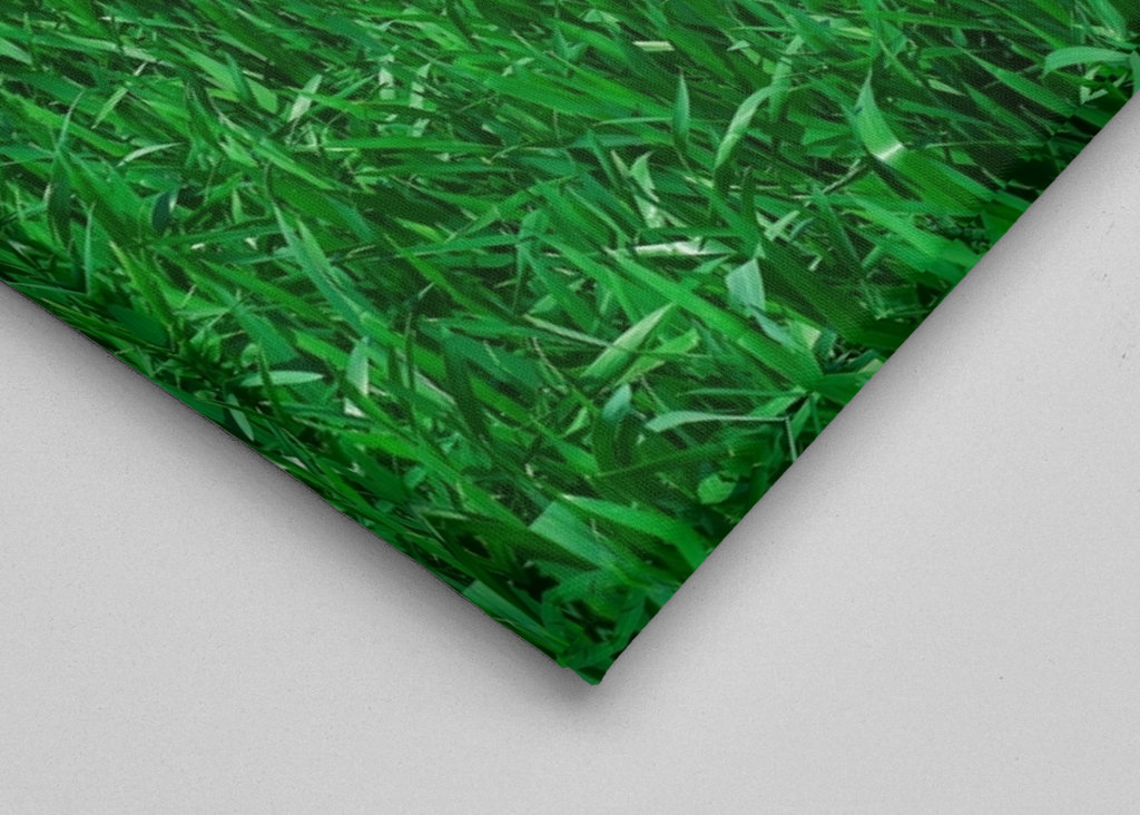 Dva odstíny zelené