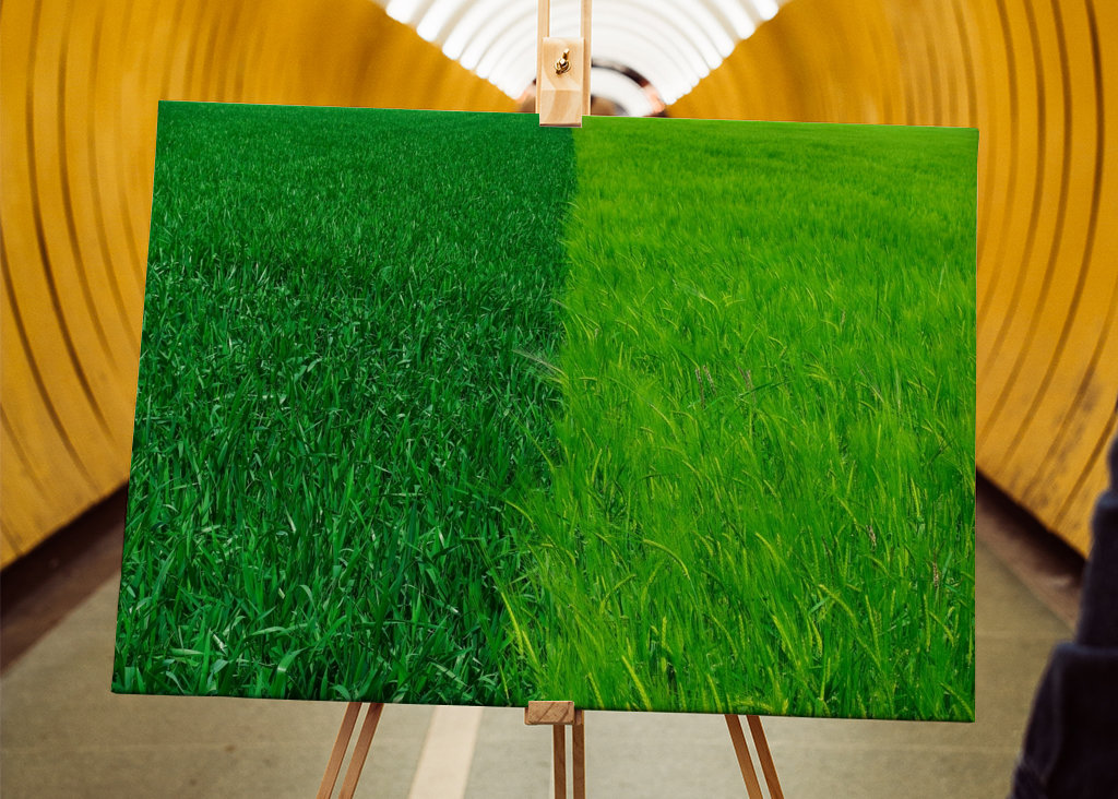 Dva odstíny zelené