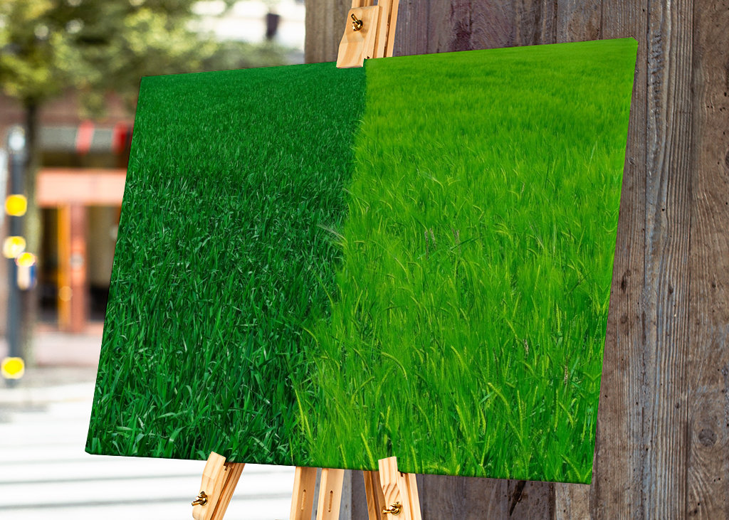 Dva odstíny zelené